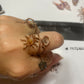 Adjustable Rings